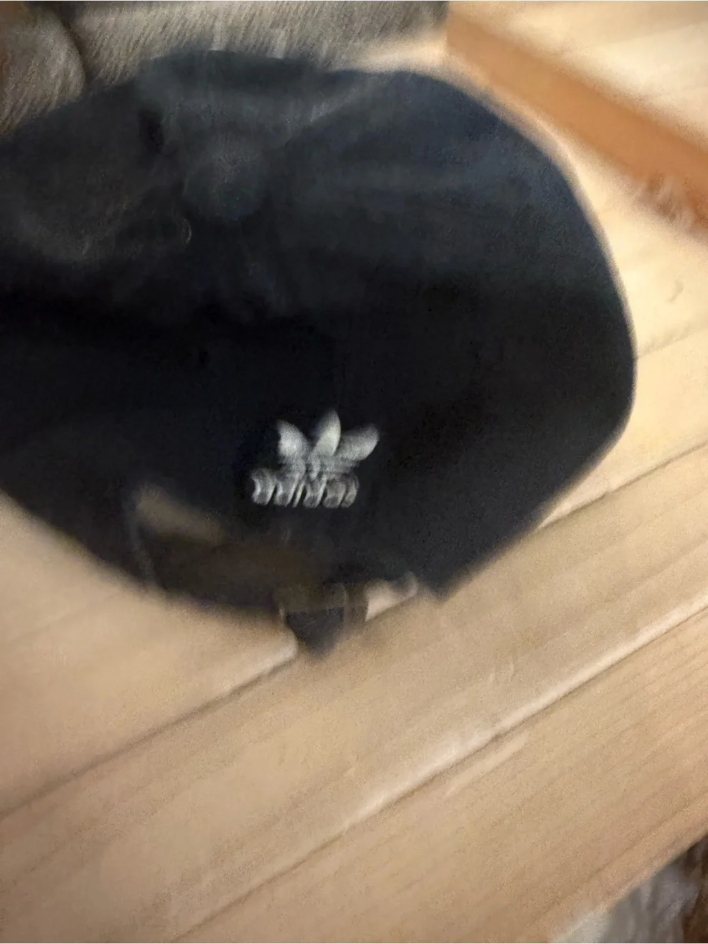 adidas Black Cap with White Trefoil Logo